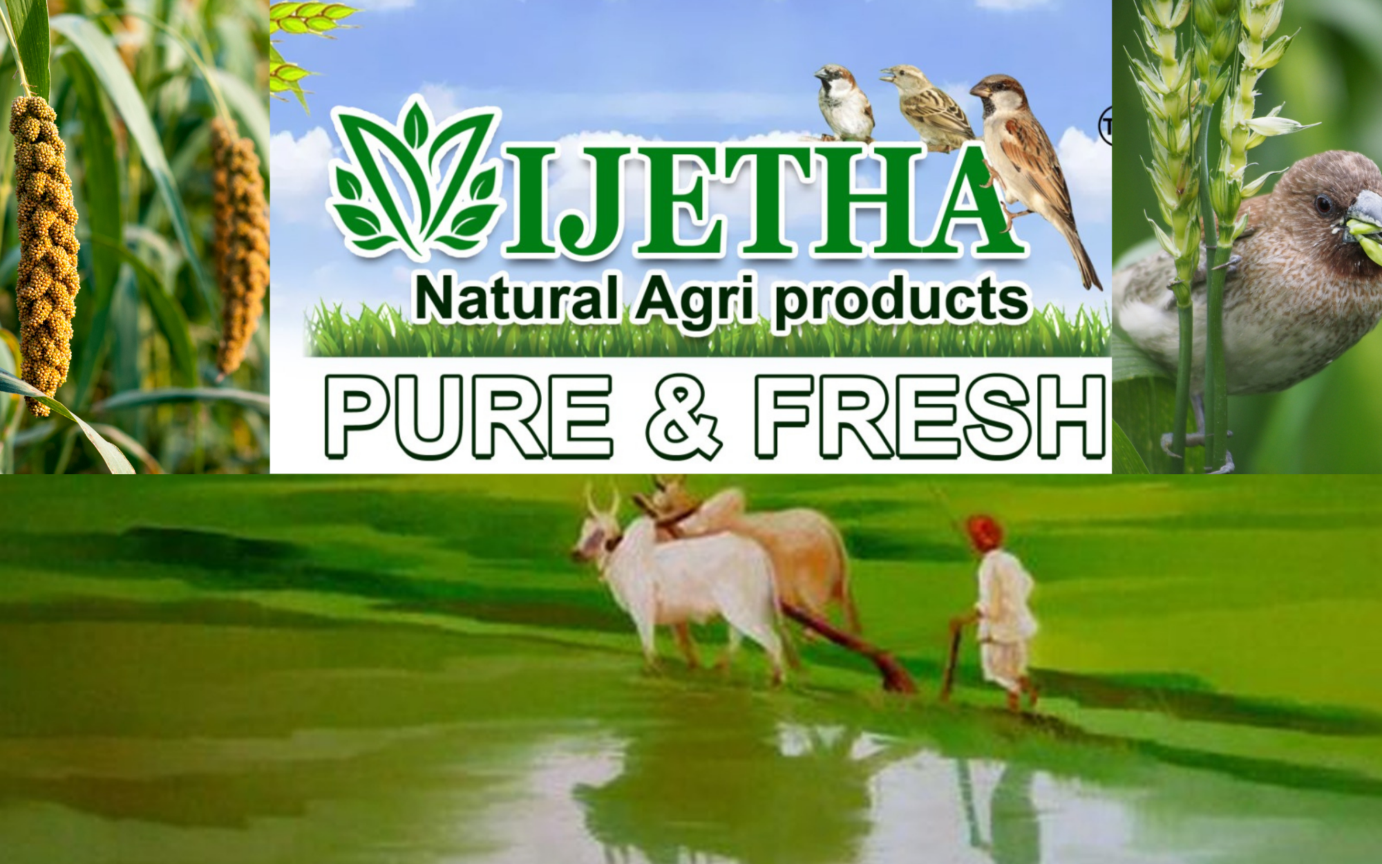 16_20251021_131820_0002